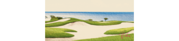 LANDSCAPE copy "Explore Birdeez's collection of custom golf polos, designed for style and performance on the green. With a range of colors and designs to choose from, you can create your unique look for every round. Elevate your game with Birdeez today! #Birdeez #GolfPolos #CustomApparel #PerformanceWear #GolfFashion"