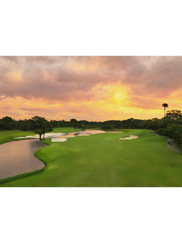 SOUTHWOODS MASTERS 2 "Explore Birdeez's collection of custom golf polos, designed for style and performance on the green. With a range of colors and designs to choose from, you can create your unique look for every round. Elevate your game with Birdeez today! #Birdeez #GolfPolos #CustomApparel #PerformanceWear #GolfFashion"