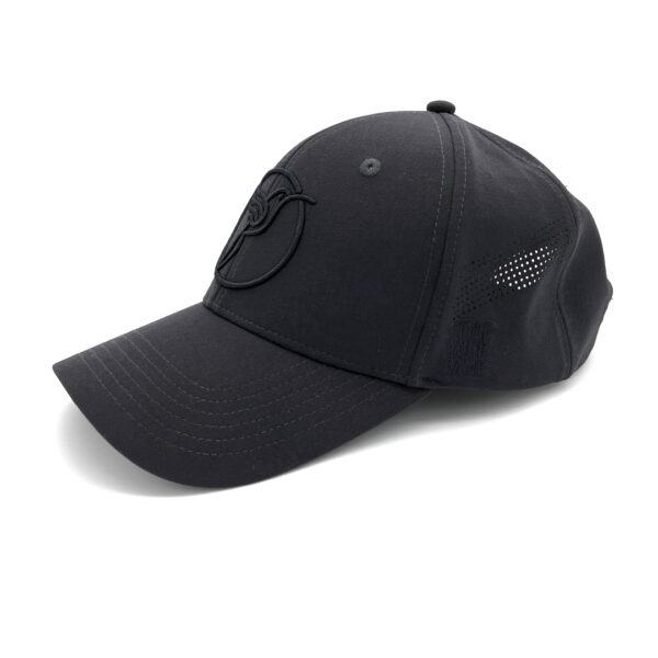 BIRDEEZ CAP NAVY 3 1080X1080 AI